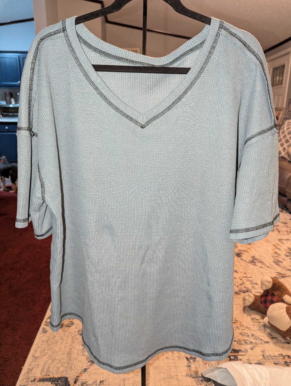 Light Blue V-Neck Women's Top